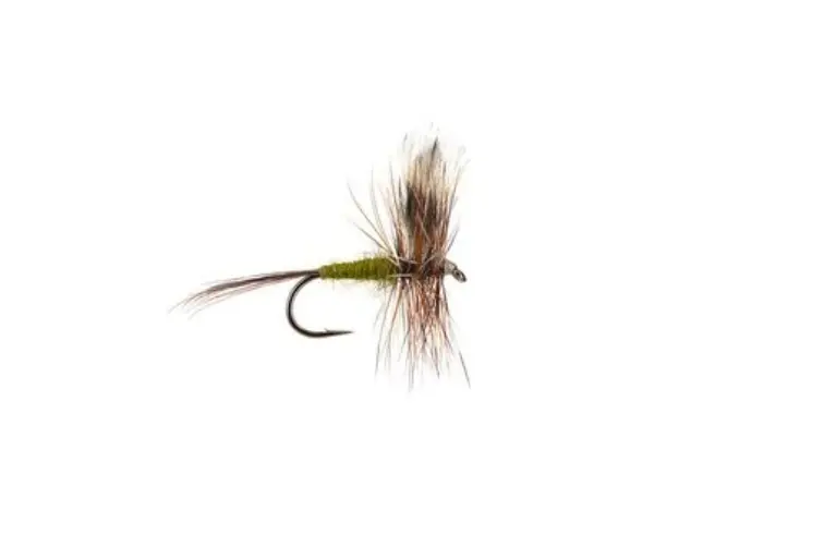 Adams Dry Fly – No-Parachute Variant for Delicate Presentation