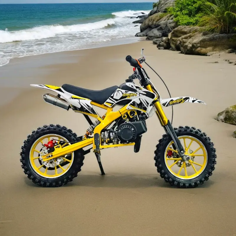 PATOYS 50CC 2-Stroke Mini Dirt Bike for Kids Aged 7–16 | Pocket-Sized Petrol-Powered Off-Roader