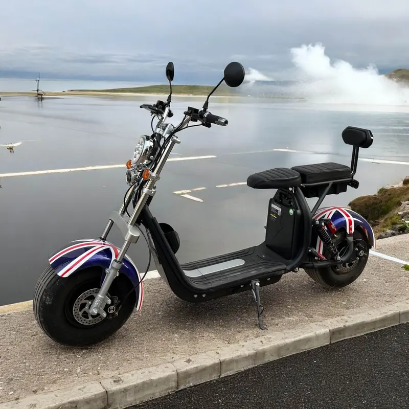 PATOYS City Coco 60V 12Ah Electric Scooter for Adults – Dual-Rider, 35 km/h Top Speed