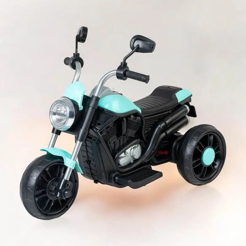 PATOYS PL6622 3-Wheel Ride-On Bike for Toddlers (Ages 1–4) – Foot-Accelerated Harrlay-Style Design
