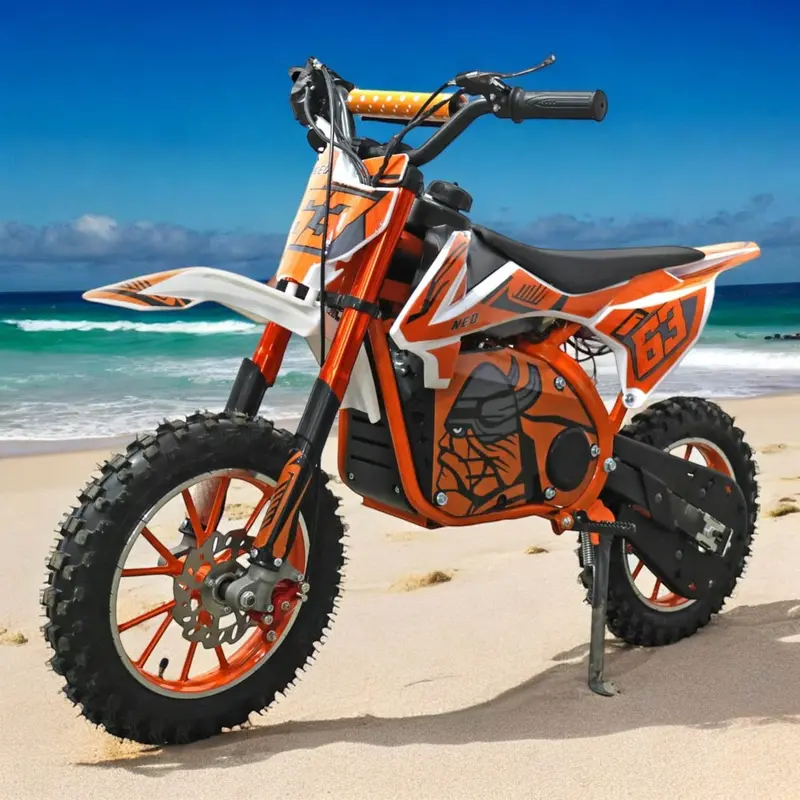 PATOYS Pro Fighter 24V/350W Electric Dirt Bike for Kids – Key-Start, Disc Brakes, Ride-On